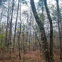 _DSC0058