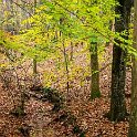 _DSC0081