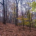 _DSC0104