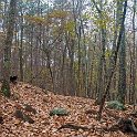 _DSC0161