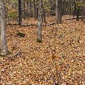 _DSC0201