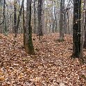 _DSC0207