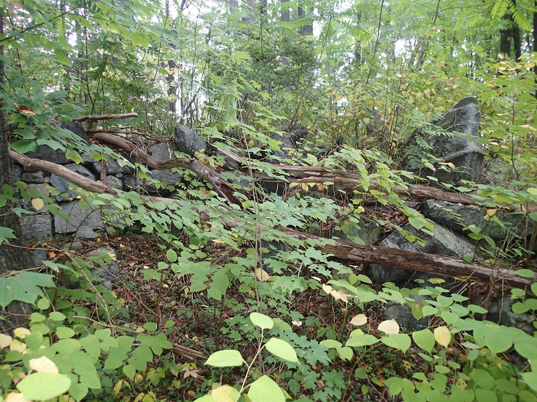 PA030051