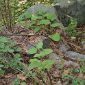 PA030054