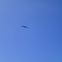 P7050461