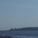 P9050088