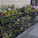 P5030202