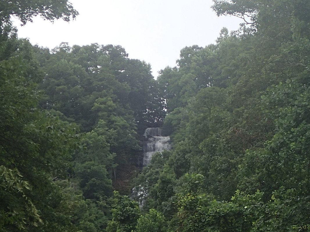 P7030385