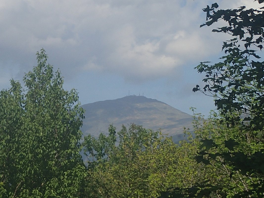 P5300436