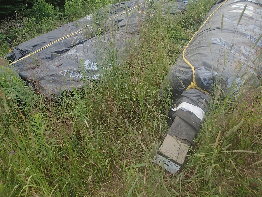 P7230683
