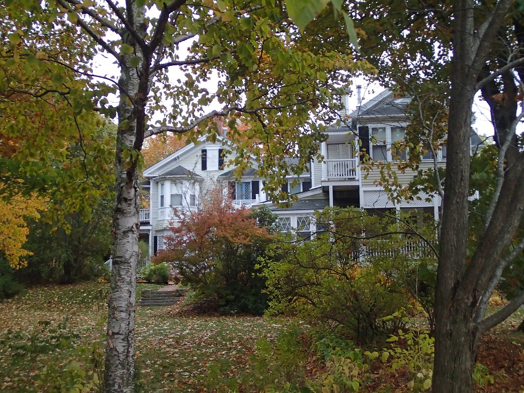 PA291277