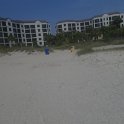 P7030236
