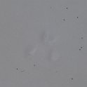 P1030900