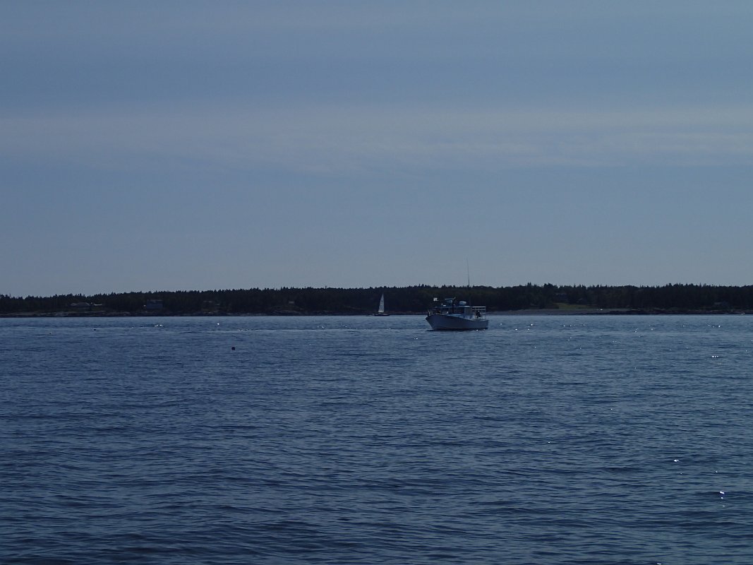 P9020479