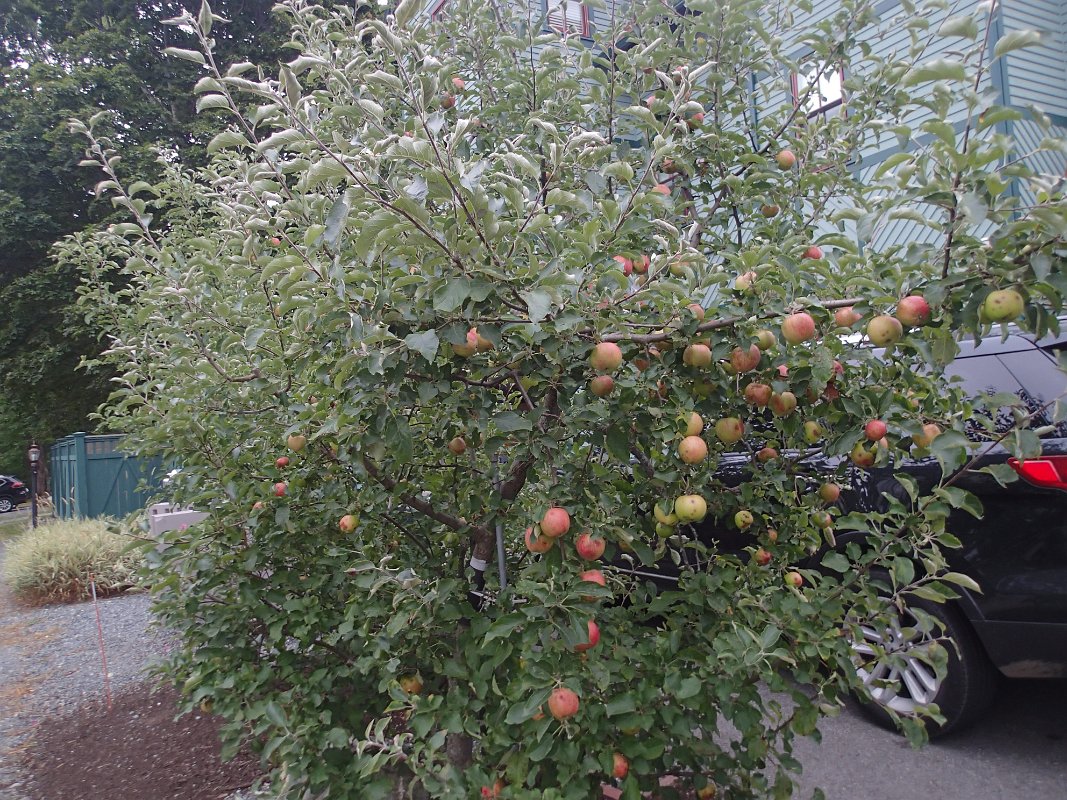 P9030573