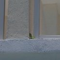 P7030201