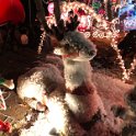 IMG_3204