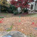 IMG_5031