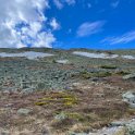 IMG_5872