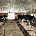 IMG_6264