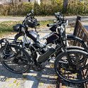 IMG_1377
