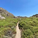 IMG_0165