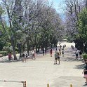 IMG_9894