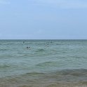 IMG_0621