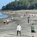 IMG_0941