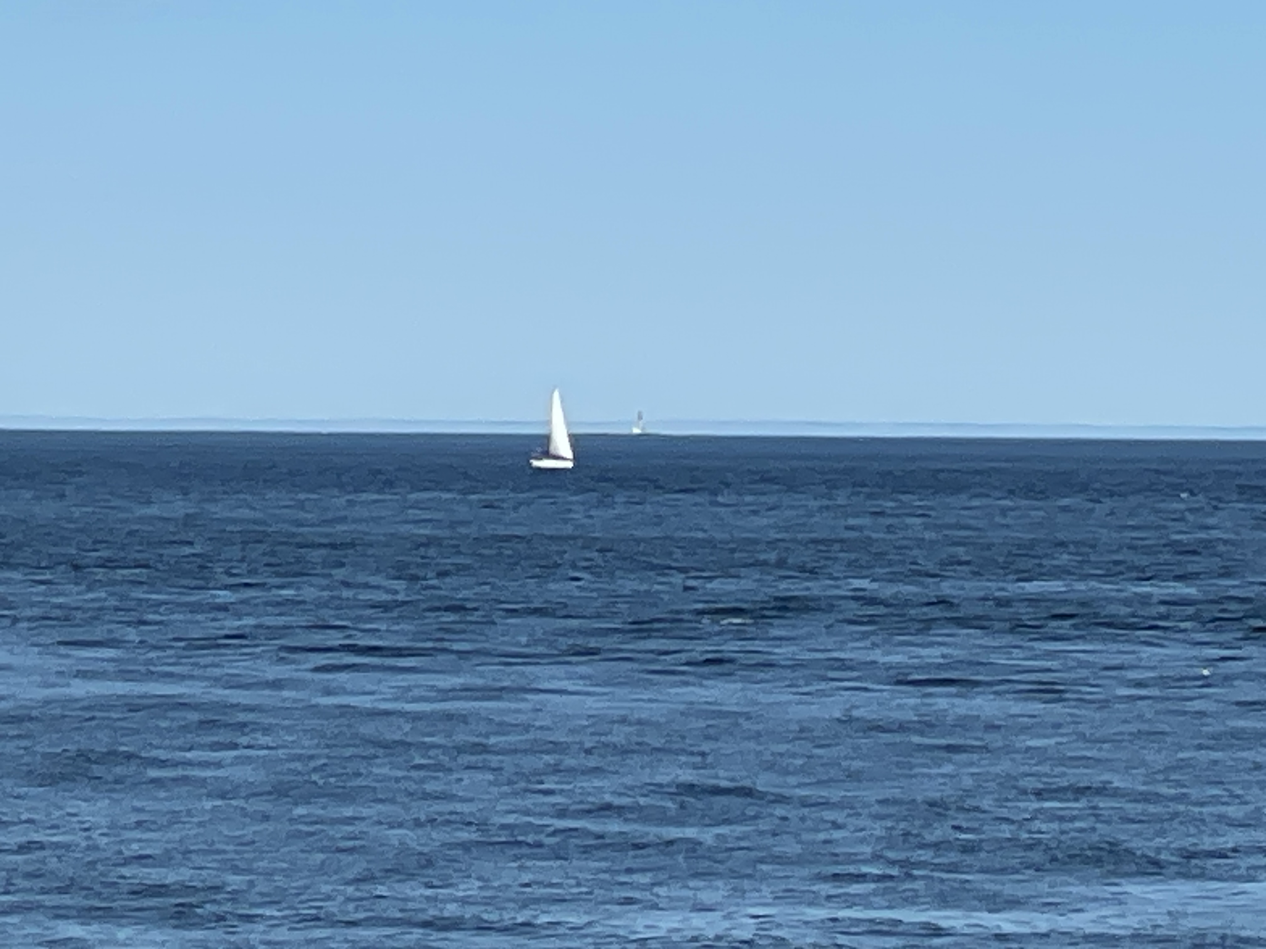 IMG_8931