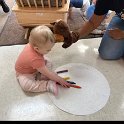 IMG_2543