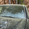 IMG_2579