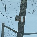 IMG_5462