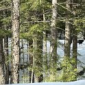 IMG_5465