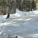 IMG_5466