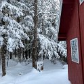 IMG_5477