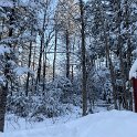 IMG_5479