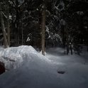 IMG_5498