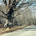 IMG_5552