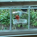IMG_5693