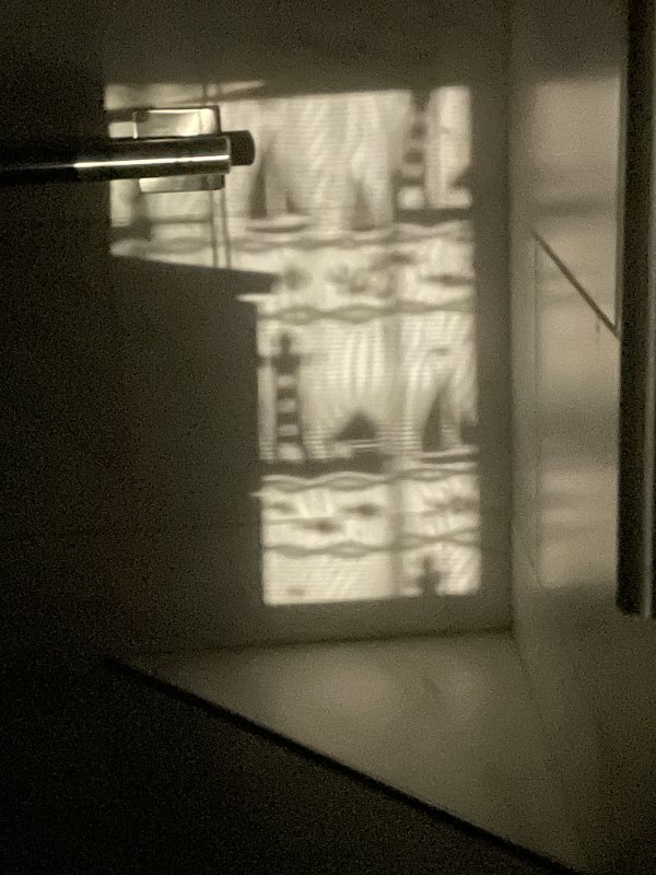 IMG_5793