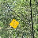 IMG_5720