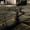 IMG_5751