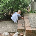 IMG_5661